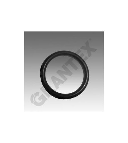 ΛΑΣΤΙΧΑΚΙ ORING ΠΕΙΡΟΥ ΣΙΑΓΩΝΑΣ 30X4.5