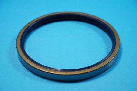 Shaft sealing ring 140x160x13 NBR BS dph blue