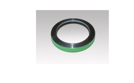 OIL SEAL 120X160X15.5/18.5 DAF CASSETE