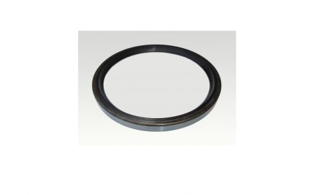 OIL SEAL 190X220X15