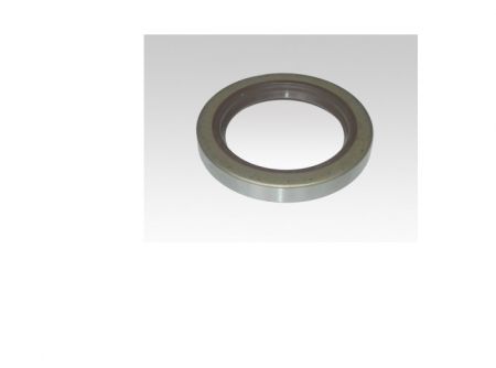 OIL SEAL 70X100X13