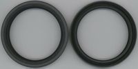Seal Ring 80X100X13
