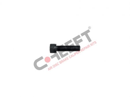 ΒΙΔΑ ΔΑΓΚΑΝΑΣ 12X1.25X55