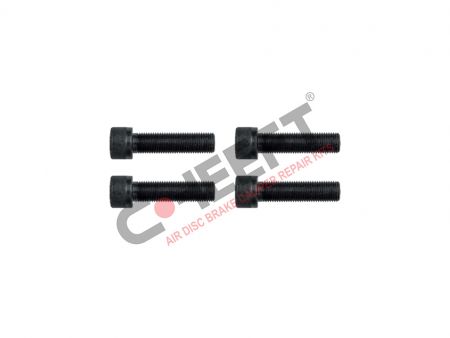 ΒΙΔΕΣ ΔΑΓΚΑΝΑΣ 12X1.25X55
